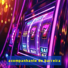 acompanhante de barreira